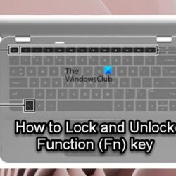 Lock and Unlock Function Fn key